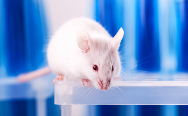 Tierversuche haben keine Zukunft – für eine moderne Wissenschaft