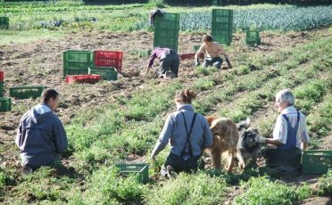 Die bio-vegane Landwirtschaft – Gegenkonzept und Zukunftsvision