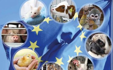 20. Mai 2019: EU-Wahl-Spezial: Wie stehen die Parteien zum Tierschutz?