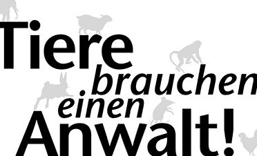 23. Juli 2020: Tierschutz-Skandal im Saarland: Rechtsverstöße rund um die Schwanenstation in Perl gehen weiter