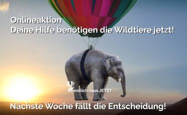 Wildtierverbot im Zirkus: Bitte Mitmachen beim Email-Appell