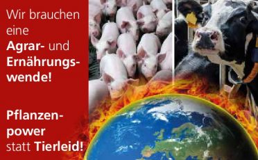 04. Februar 2021: UN-Studie: Fleischkonsum ist Haupttreiber der Naturzerstörung