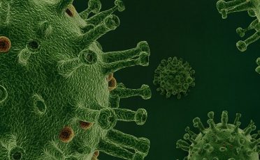 Forschung in Zeiten des Coronavirus