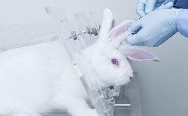 11. März 2021: Tierversuchsverbot für Kosmetik muss bleiben: Aufruf an die EU-Kommission