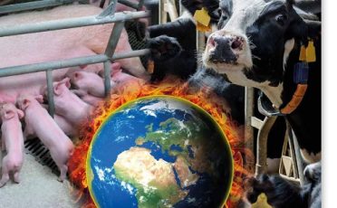 31. März 2022: Fleischproduktion bedingt Hunger, Klimakrise und Tierleid: Forderungen für eine Agrar- und Ernährungswende