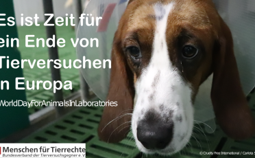 21. April 2022: Für ein Europa ohne Tierversuche