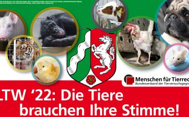 06. Mai 2022: Landtagswahl in NRW: Die Tierschutzpläne der Parteien