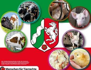 Kommentar: NRW-Koalitionsvertrag enttäuscht in Sachen Tierschutz