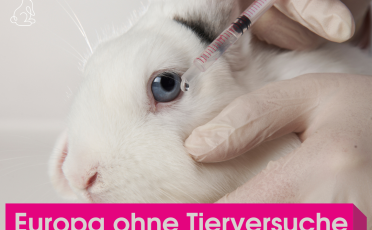 EU-Tierversuchsstatistik 2019: Fast 12 Millionen Tiere in Versuchen eingesetzt