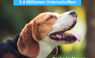 01. September 2022: Meilenstein: Fast 1,5 Millionen EU-Bürger:innen fordern Ausstieg aus dem Tierversuch