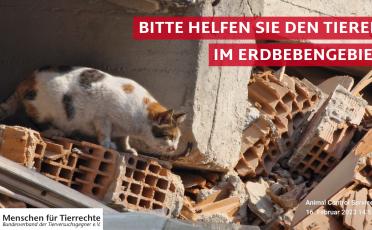 Bitte helfen Sie den Tieren nach den Erdbeben