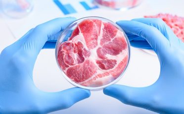 Italien: Agrarlobby erreicht Verbot von Laborfleisch