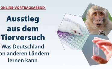 02. März 2023: Einladung zum Online-Vortragsabend: Ausstieg aus dem Tierversuch – was Deutschland von anderen Ländern lernen kann