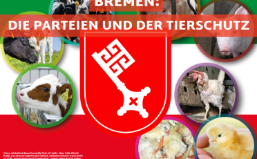 11. Mai 2023: Bürgerschaftswahl in Bremen: So stehen die Parteien zum Tierschutz