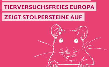 25. Mai 2023: Für ein Europa ohne Tierversuche: EBI schreitet mit einer Anhörung im Europäischen Parlament voran