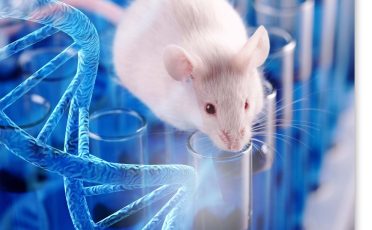 7th June 2023: Laboratory Animal of the Year: The Mouse in Autism Research