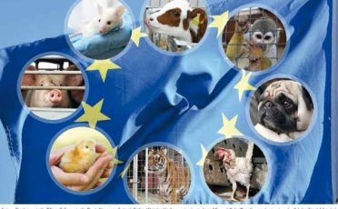 13. September 2023: Europawahl 2024: Natur-, Tier- und Umweltschutzorganisationen veröffentlichen Forderungen