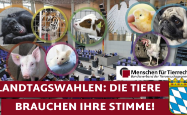 6. Oktober 2023: Landtagswahlen in Bayern: Tierschutz zweitrangig