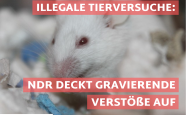 20. November 2023: Illegale Tierversuche: NDR-Recherche deckt gravierende Verstöße auf