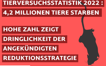 13. Dezember 2023: 2022 starben 4,2 Millionen Versuchstiere in Deutschland