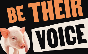01. Februar 2024: Ihre Stimme für die Tiere: Start der Tierschutz-Kampagne für die EU-Wahl