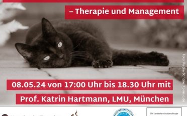 Online-Vortrag: Katzen mit FIP- / FIV-Infektion – Therapie und Management